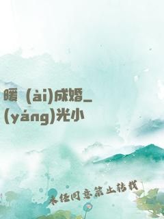 暖愛(ài)成婚