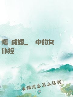 暖愛成婚