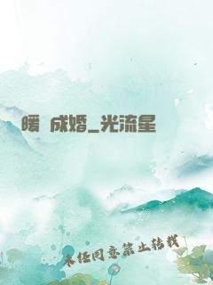 暖愛成婚