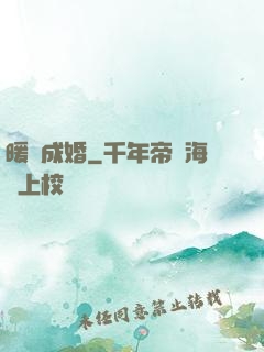 暖愛成婚