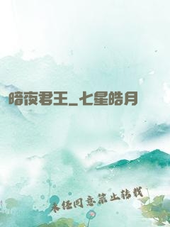 暗夜君王