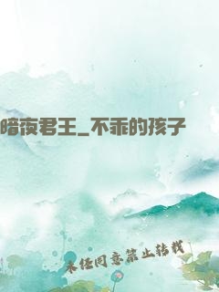 暗夜君王