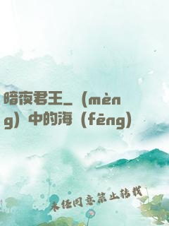 暗夜君王