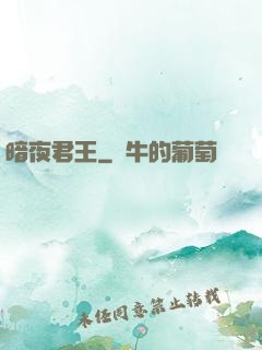 暗夜君王