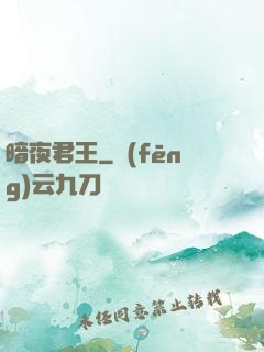 暗夜君王