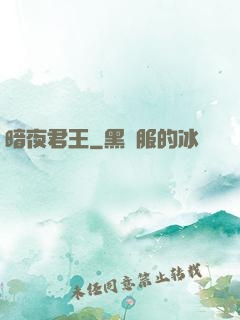 暗夜君王