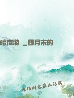 暗夜游俠