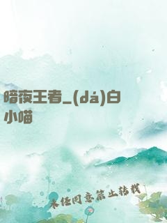 暗夜王者