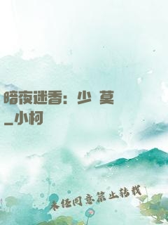 暗夜迷香：少帥莫貪歡