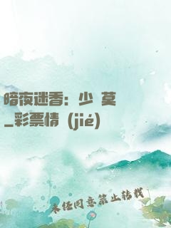 暗夜迷香：少帥莫貪歡