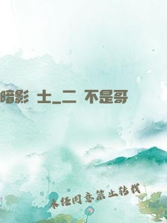暗影騎士
