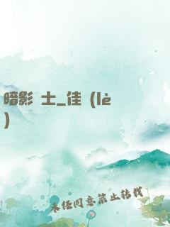 暗影騎士