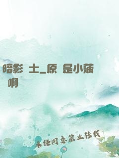 暗影騎士