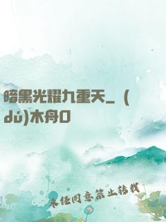 暗黑光耀九重天