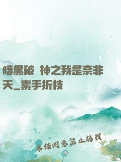 暗黑破壞神之我是奈非天