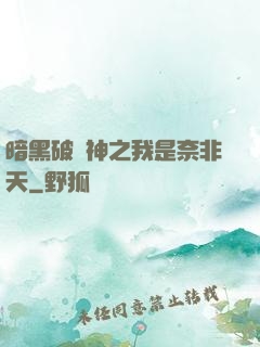 暗黑破壞神之我是奈非天