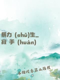 暴力書(shū)生