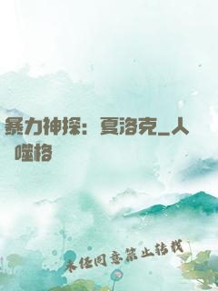 暴力神探：夏洛克