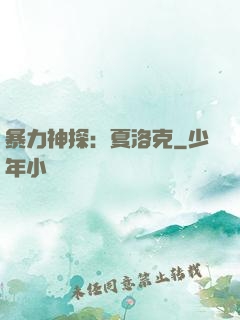 暴力神探：夏洛克