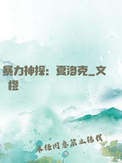 暴力神探：夏洛克