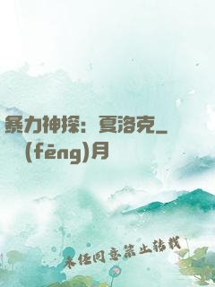 暴力神探：夏洛克