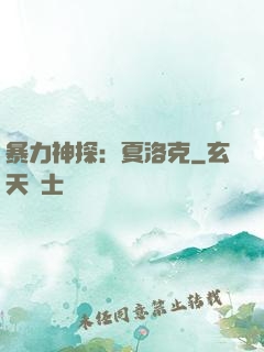 暴力神探：夏洛克