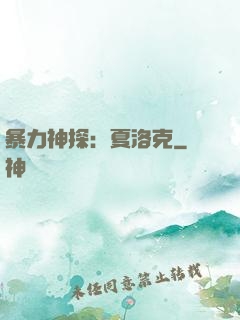 暴力神探：夏洛克