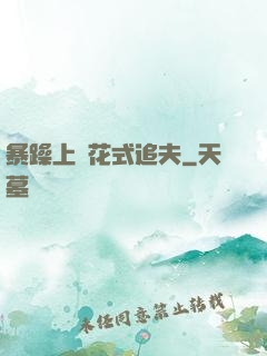 暴躁上將花式追夫