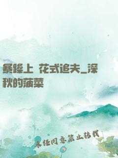 暴躁上將花式追夫