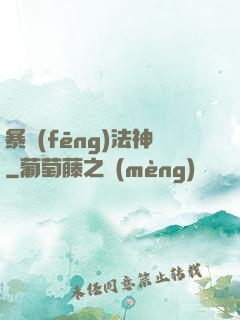 暴風(fēng)法神