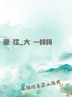 書童兇猛