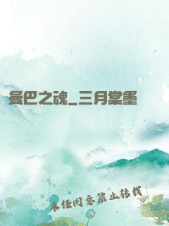 曼巴之魂