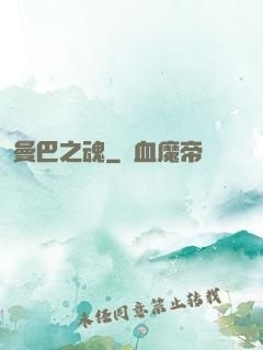 曼巴之魂