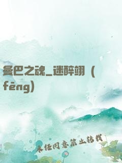 曼巴之魂