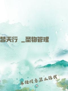 替天行盜