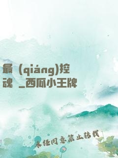 最強(qiáng)控魂師