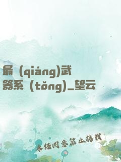 最強(qiáng)武器系統(tǒng)