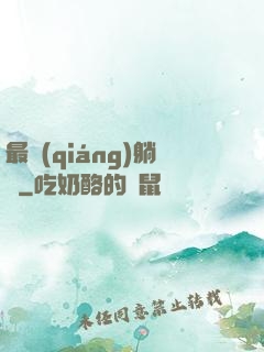最強(qiáng)躺贏