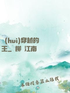 會(huì)穿越的國王