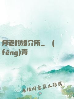 月老的婚介所