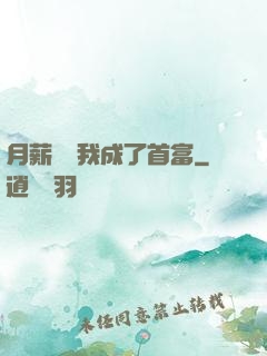 月薪兩萬我成了首富