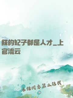 朕的妃子都是人才
