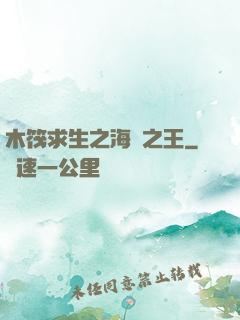 木筏求生之海島之王