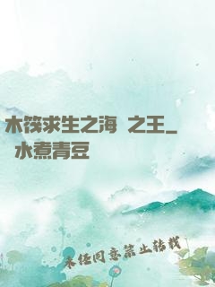 木筏求生之海島之王