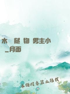木馬雙腿墜物雙男主小說