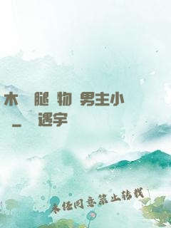 木馬雙腿墜物雙男主小說