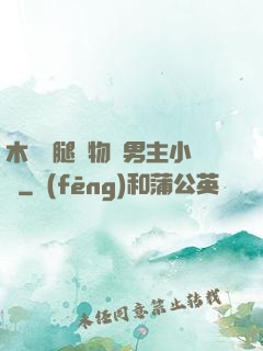 木馬雙腿墜物雙男主小說