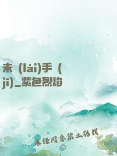 未來(lái)手機(jī)