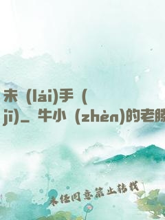 未來(lái)手機(jī)