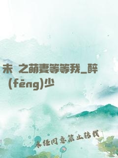 未來之萌妻等等我